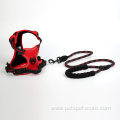 Dog Leash with Soft Foam Handle for Dogs